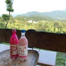 노고마주 이미지