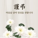 조*연 이미지
