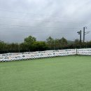 퍼스트 독 스쿨 이미지