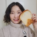 빵진남 이미지