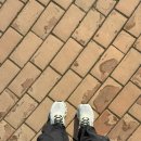 건약국 | 임신준비를 위한 루틴 영양제 이노시톨 / 약국 이노시톨 추천