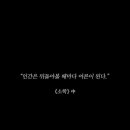 나이테