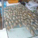 오포해수욕장 이미지