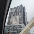 안양 실내클라이밍 초록색 난이도가 많아서 좋았던 클라임데이즈 클라이밍 데이트 후기
