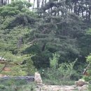 휴양림산장 이미지