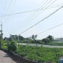 뉴스타공인중개사사무소 이미지