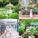 일원스테이 | 울산 가볼만한곳 장생포 수국축제 실시간 후기 장생포 고래문화마을