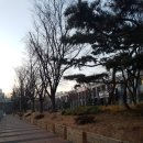 청개구리 당구장 이미지