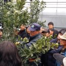 서귀포전문센터 이미지