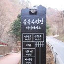 백운정 이미지