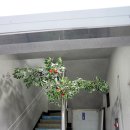 남원당구장 이미지