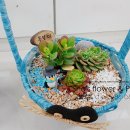 대구효령초등학교 이미지