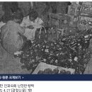 아품과 추억의 공존.. 창경궁 벗꽃의 비화 이미지