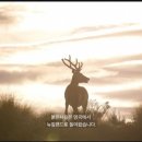 야생사슴농장 이미지