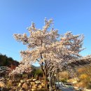 대구 달성군 현풍에서 오리요리로 유명한 북면 자연농원(달창점)