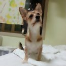 멍이와 냥이의 부엌 이미지