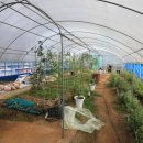 여형구 농장 이미지