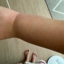 권현숙의 미사리 팔당냉면 란주 도삭면 | 피크민이 일상이 되어버린 사람 나야나 / 지나가던 모기도 조심하자, 대탈출 더스토리존잼