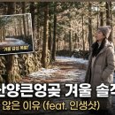 산양리 | 입장료 내고 갈까 말까 고민된다면, 산양큰엉곶 겨울 후기