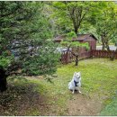 남이안풀빌라 이미지