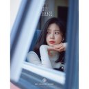 개이쁨 이미지