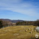 순수목장 이미지