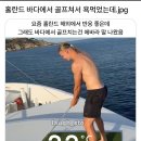 바다에서 골프치다 욕 먹은 홀란 ㄷㄷㄷ 이미지