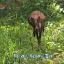 고라니북스 이미지