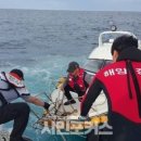 고래불레저