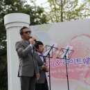 해피바이브 이미지