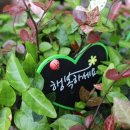 부산남양토담오리