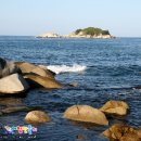 봉포활어회센터 이미지