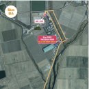 들녘 | 서산 코스모스 황금들녘 마라톤 후기 (하프 PB 달성)