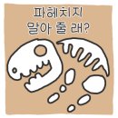 만선바다 이미지