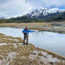 D-Line motors 이미지