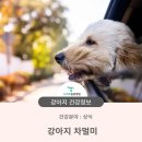 청학동물병원 이미지