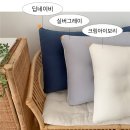 백미컴퓨터세탁 | 자고 일어나면 목이 뻐근? 1+1 통째로 빨아쓰는 경추베개 (일자목/거북목) 실사용 리뷰