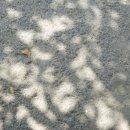 바다앞민박 이미지