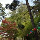 영모암(永慕菴) | 서천군 &#39;봉서사(鳳棲寺)&#39;