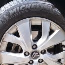 피카소 목장 이미지