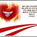 성령강림주일 예배기도문.1 이미지