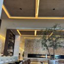 바인호텔 | 멕시코 칸쿤 신혼여행 | 호텔존 시크릿 더 바인 첫 번째 숙소 후기