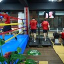 문성길 복싱클럽 이미지