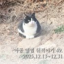 아퐁 앨범 뒤적이기 49. 2025년 12월 13일 ~ 2025년 12월 31일