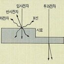 셈셈(sem sem) 이미지