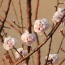 오륙도중학교 이미지