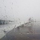 문지렌트 이미지