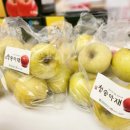 대가야센터-6 이미지