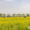 구포축산물도매시장 이미지
