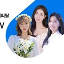㈜26렌트카 이미지